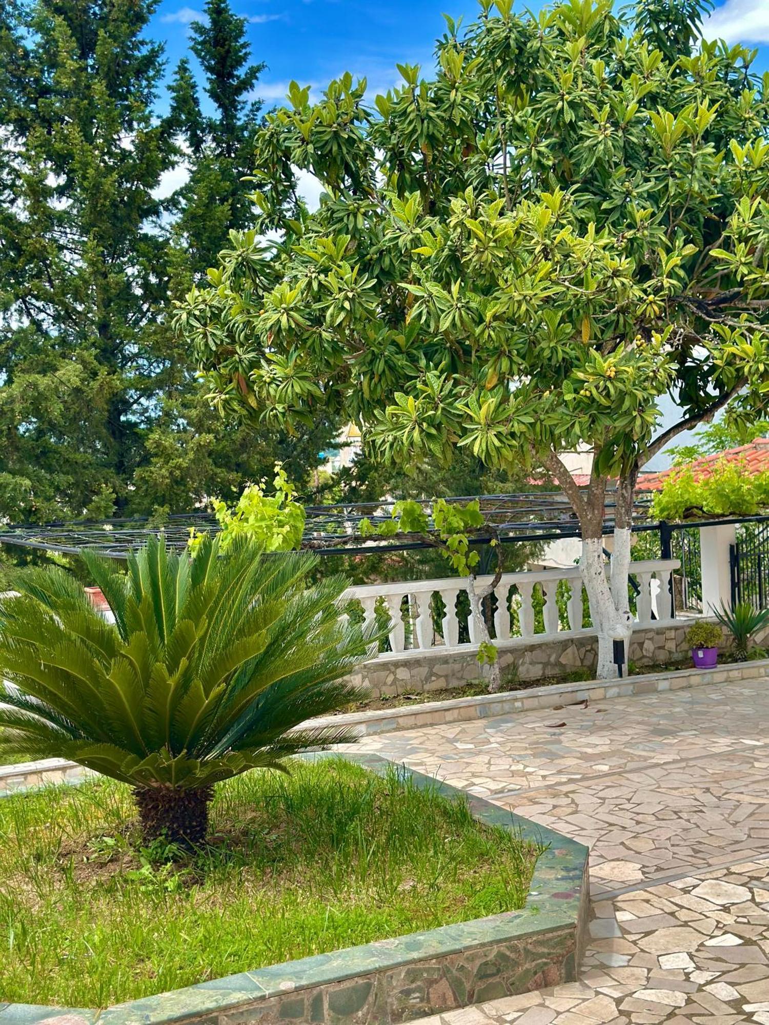 Villa Braho ジロカストラ エクステリア 写真